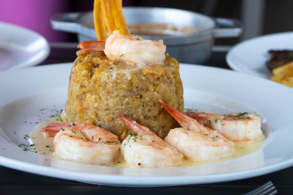 ./MOFONGO_PR_1772051774519
